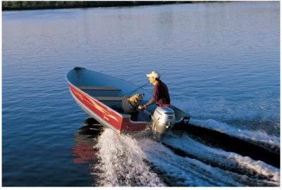 Honda BF 15 LHSU Außenborder – Bild 3